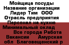 Мойщица посуды › Название организации ­ Лидер Тим, ООО › Отрасль предприятия ­ Персонал на кухню › Минимальный оклад ­ 22 800 - Все города Работа » Вакансии   . Амурская обл.,Благовещенский р-н